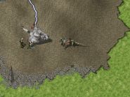 Ultima Online: Mondain's Legacy - Screenshoty