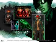 The Matrix Online - galerie