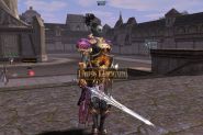 Lineage 2 - Screenshoty - The best of the High Five! (Defuse)
