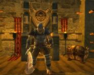Dungeons and Dragons Online: Stormreach - Screenshoty