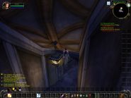 World of Warcraft: The Burning Crusade - Screenshoty - Jednou jsem si založil priesta a takhle to dopadlo :-) (krejzy frog)