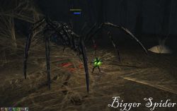 trošku větší pavouk